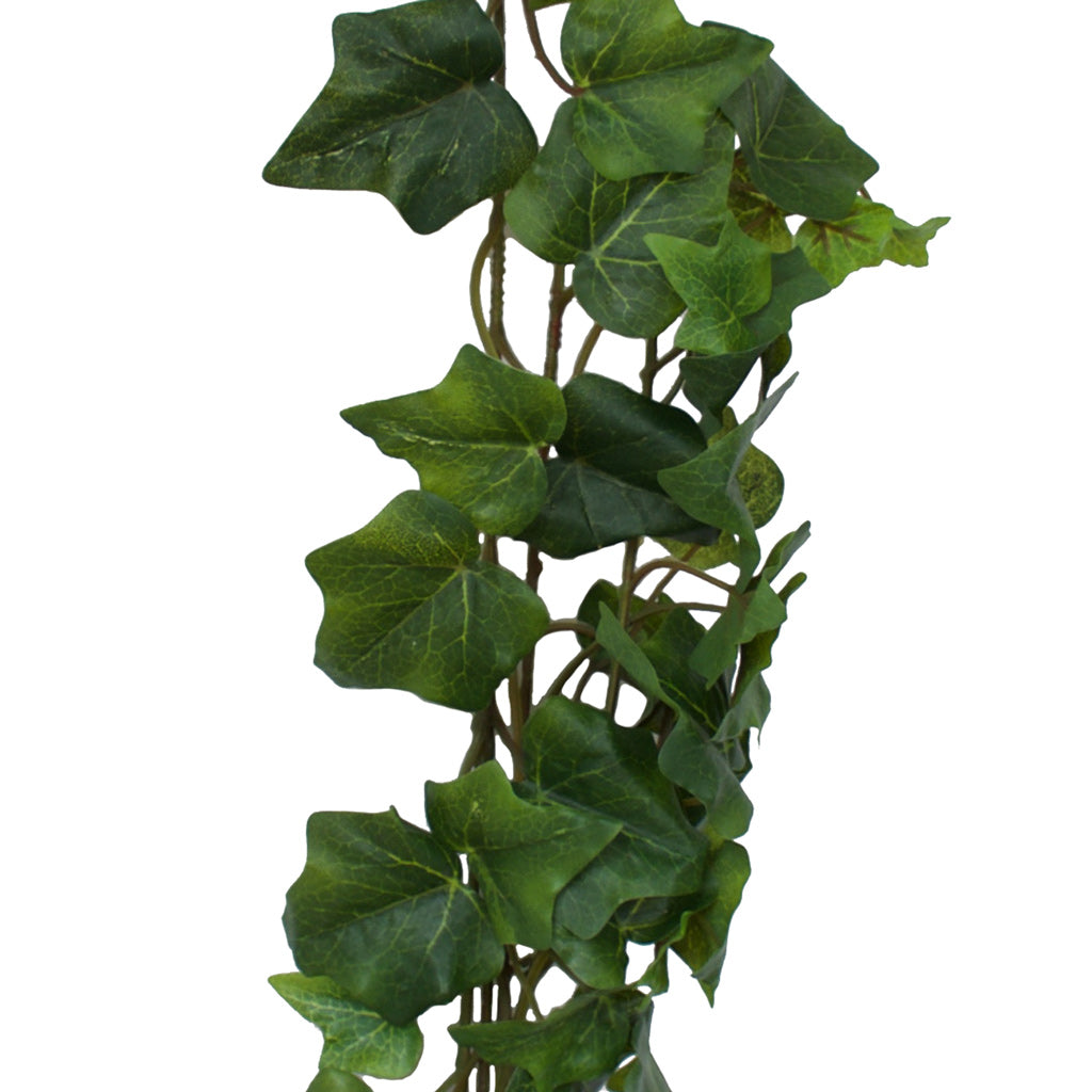 Ivy - Oxford Hedera Premium Garland - Box Lot Deal (6)