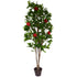 Tree - Camellia with red flowers