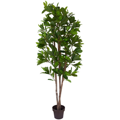 Magnolia Evergreen Tree - Artificial