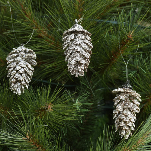 Christmas Pinecones - Pack of 12