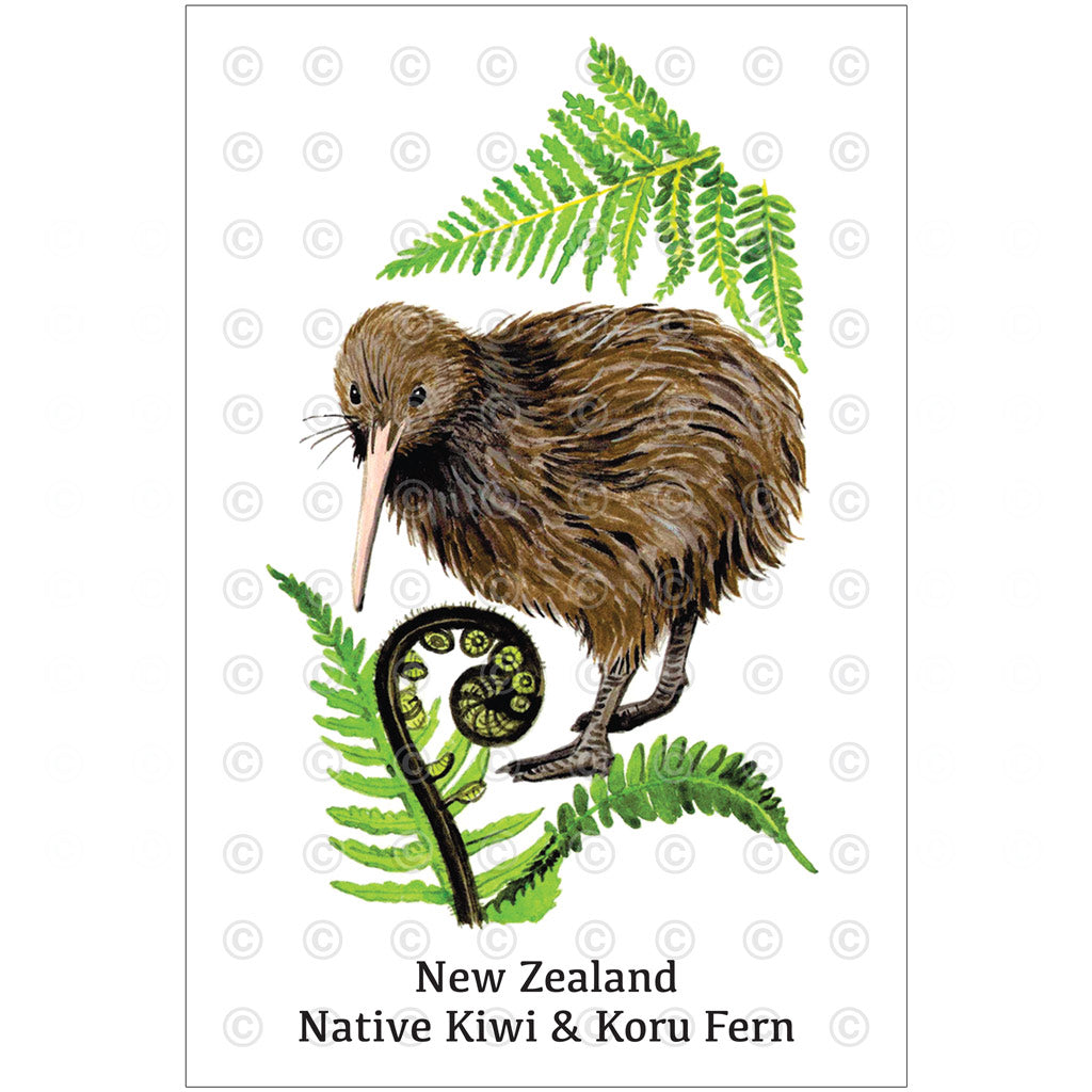 Tea Towel - New Zealand native Kiwi