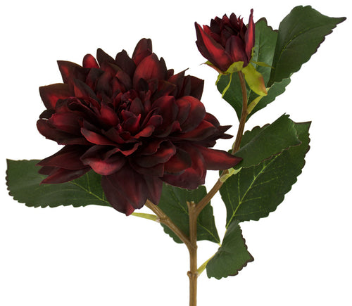 Dahlia Flower Spray - Burgundy Blood Red