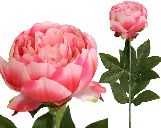 Artificial Peonies NZ | Buy Online | NZ Owned and Operated – Decor Flowers